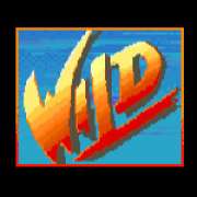 Wild symbol in Street Fighter II: The World Warrior pokie
