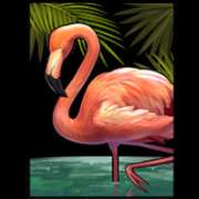Flamingo symbol in Narcos pokie