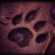Footprint symbol in Night Wolves pokie