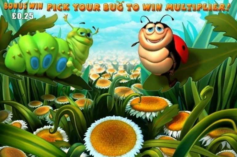 Happy bugs