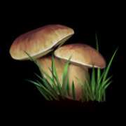 Mushrooms symbol in Night Wolves pokie