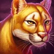 Puma symbol in Mystic Chief pokie