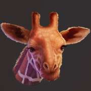 Giraffe symbol in Wild Herd pokie