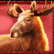 Elk symbol in Buffalo King Megaways pokie