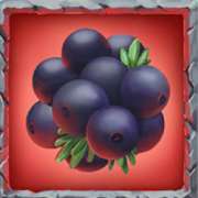 Berries symbol in Troll Haven pokie