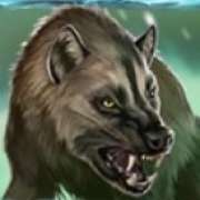 Wolf symbol in Mount M pokie