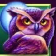 Owl symbol in Forest Guardian pokie