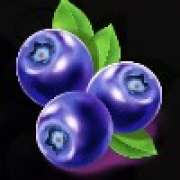 Blueberry symbol in Extra Juicy Megaways pokie