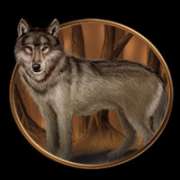 Wolf symbol in Night Wolves pokie