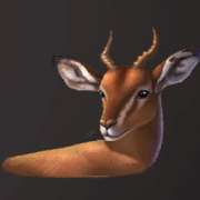 Antelope symbol in Wild Herd pokie