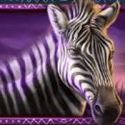 Zebra symbol in African Elephant pokie
