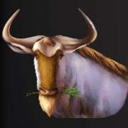 Buffalo symbol in Wild Herd pokie