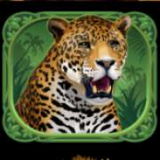 Leopard symbol in Exotic Cats pokie