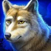 Wolf symbol in Mystic Chief pokie