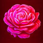 Rose symbol in Golden Beauty pokie