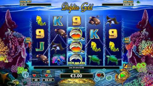 Dolphin Gold by NextGen Gaming NZ