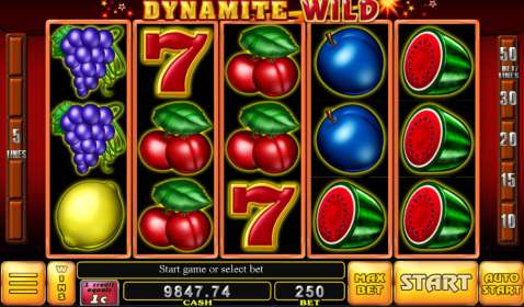 Dynamite Wild by Noble Gaming NZ