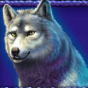 Wolf symbol in Buffalo King Megaways pokie