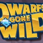 Wild symbol in Dwarfs Gone Wild pokie