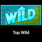 Top Wild symbol in Sidewinder pokie