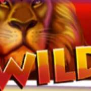 Wild symbol in Safari Dream pokie