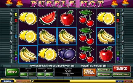 Purple Hot by Playtech NZ