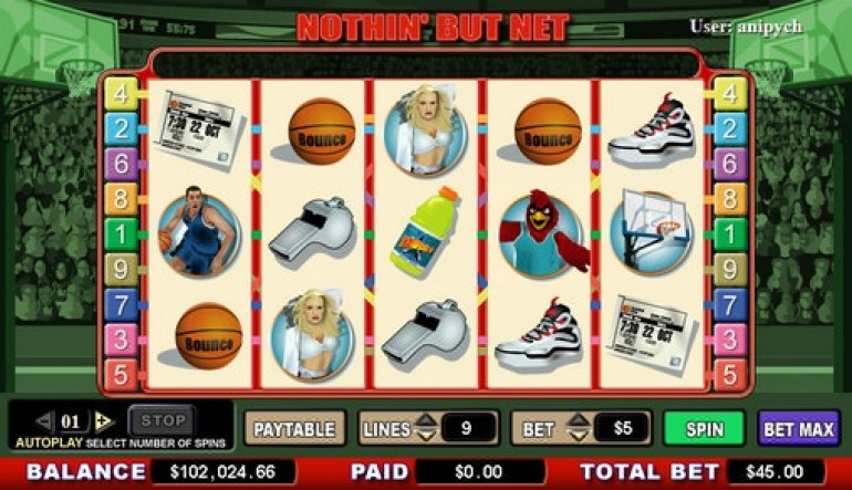 Nothing but Net pokie machine