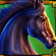 Black horse symbol in Mustang Gold pokie
