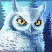 Owl symbol in Icy Wilds pokie