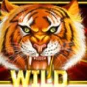 Wild symbol in Year of the Tiger pokie