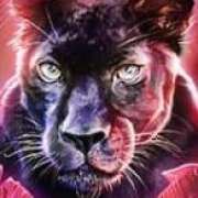 Panther symbol in Big Cat Rescue Megaways pokie