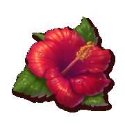 Символ Орхидея symbol in Bikini Island Deluxe pokie