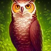 Owl symbol in Book of Wizard: Crystal Chance pokie