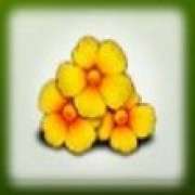 Flowers symbol in Isle O’Plenty pokie