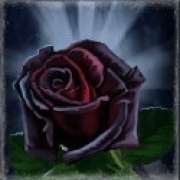 Rose symbol in Dracula's Gems pokie