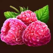 Raspberry symbol in Xtreme Summer Hot pokie