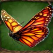 Butterfly symbol in Primal Wilderness pokie