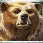 Bear symbol in Wild Tundra pokie
