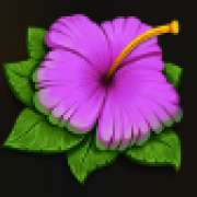 Violet Flower symbol in Wild Swarm pokie