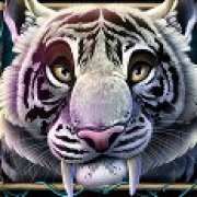 Tiger symbol in Rock Vegas pokie