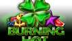 40 Burning Hot Clover Chance logo