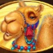 Camel symbol symbol in Egyptian Dreams Deluxe pokie