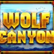Scatter symbol in Wolf Canyon: Hold & Win pokie