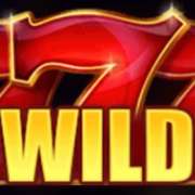 Wild symbol in Hot Coins Hold and Win pokie