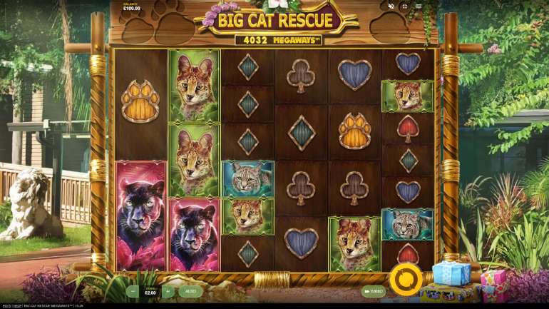 Design in Big Cat Rescue Megaways Big Cat Rescue Megaways