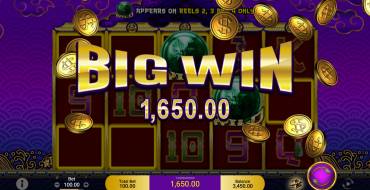 5 Fortune Dragon: Winnings