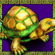 5 Fortune Dragon: Turtle