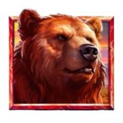 5 Wild Wolves: Bear