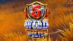5 Wild Wolves logo