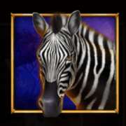 Zebra symbol in Savannah's Queen pokie